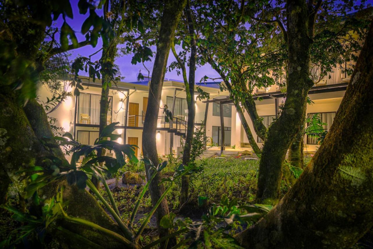 Ocotea Boutique Hotel モンテベルデ エクステリア 写真