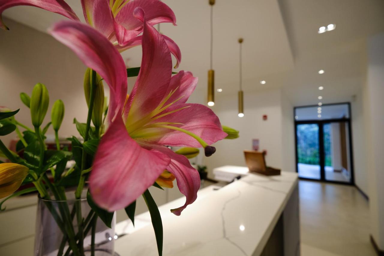Ocotea Boutique Hotel モンテベルデ エクステリア 写真